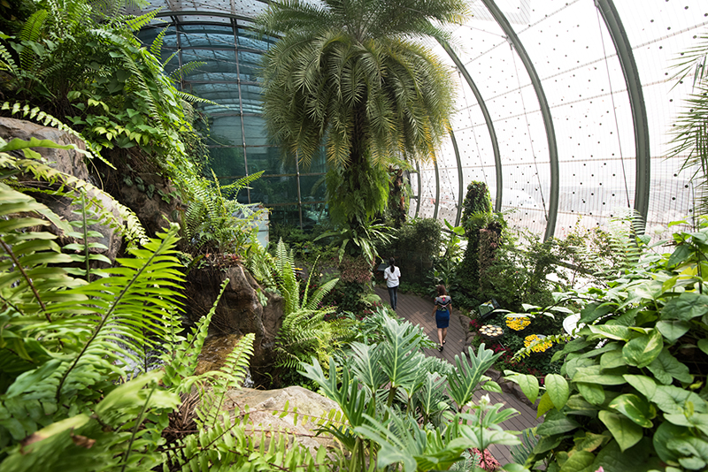 A look inside one of Changi Airport’s several gardens